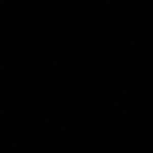 Meet your Posher, Bella